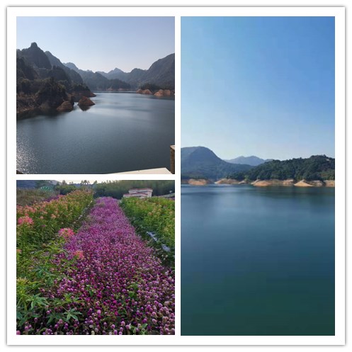 微信图片_20191230170616.jpg