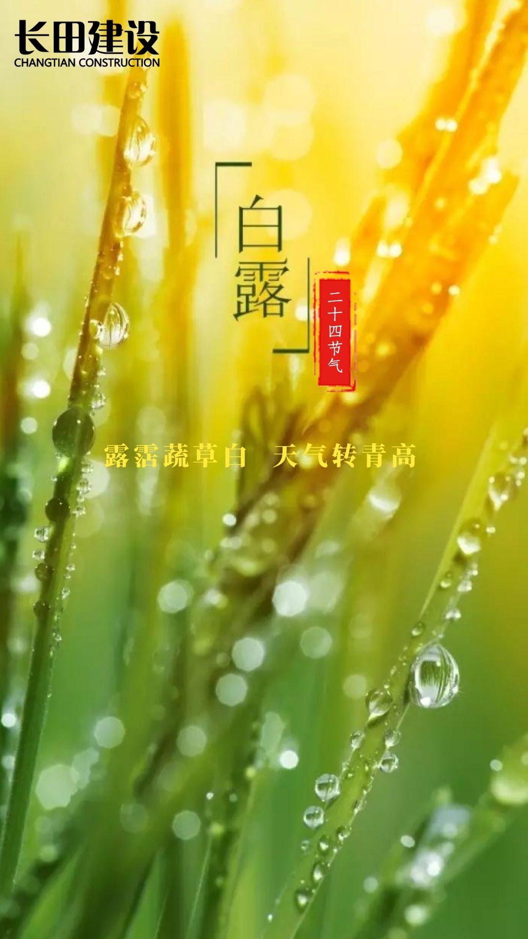 图司机-20200907-11497909 (1).jpg