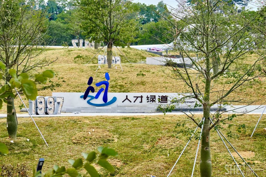 2024年澳门原料大全